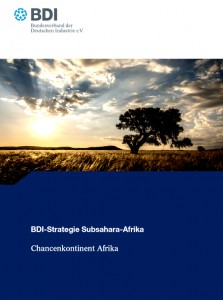 bdi_afrikastrategie